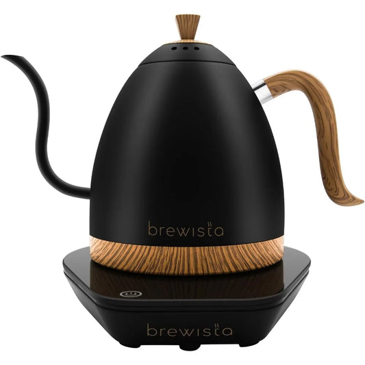Artisan Electric Kettle with Gooseneck Spout – Matte Black